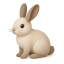 Conejo