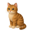 Gato